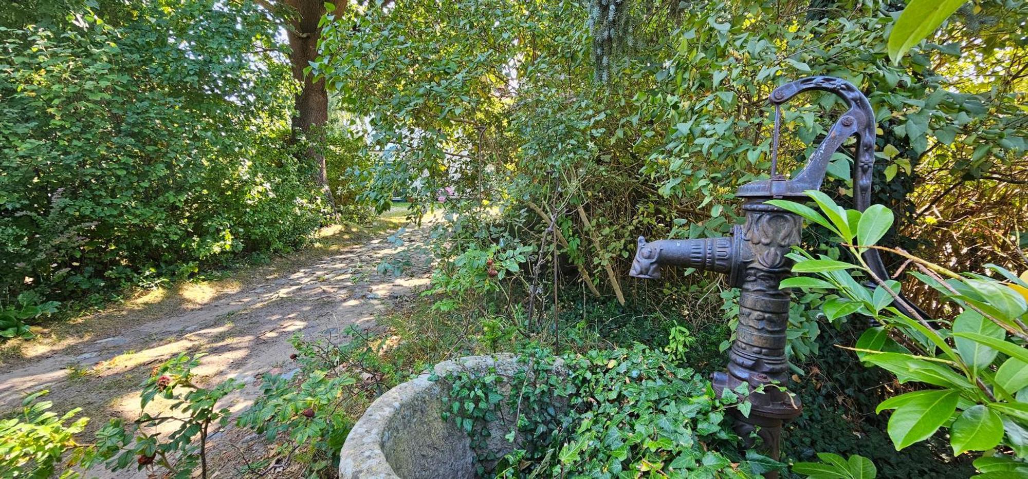 F -Haus Fh10 "Die Alte Muehle" Graal-Mueritz Buitenkant foto